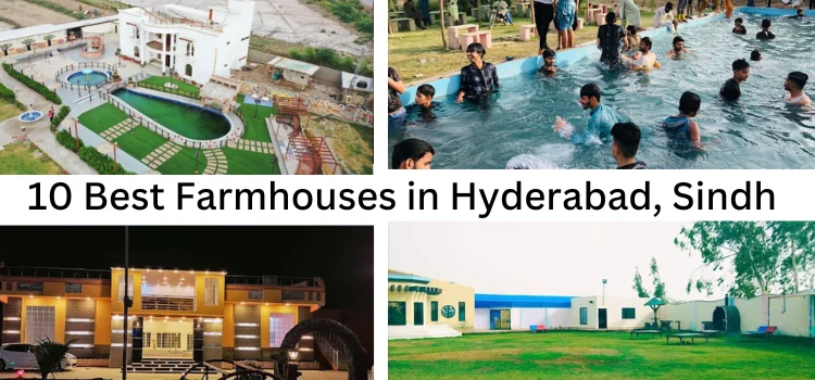 Top 10  Farmhouse in Hyderabad Sindh 2024