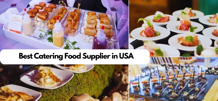 Top 10 Best Catering Food Supplier in 2023 in USA