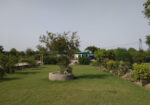 Heaven View Farm House Faisalabad
