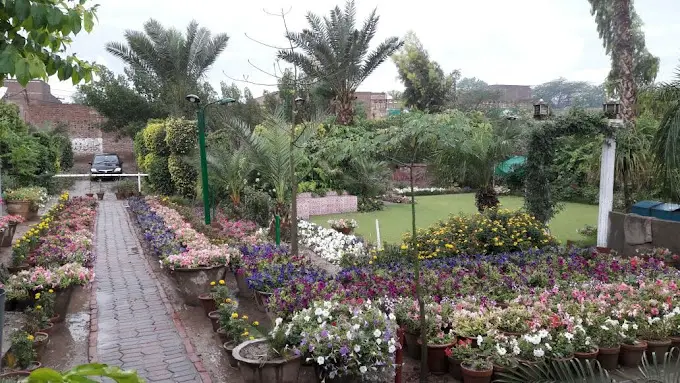Raamay Farm House Faisalabad