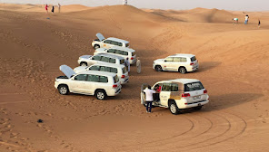 The Desert Safari Dubai