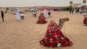 Dubai Desert Safaris