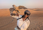 Desert Safari Dubai – Kings Desert Safari